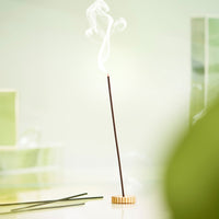 Oribe Desertland Incense