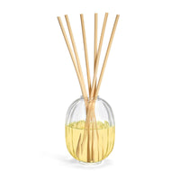 Diptyque Sapin (Pine Tree) Reed Diffuser