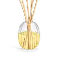 Diptyque Sapin (Pine Tree) Reed Diffuser